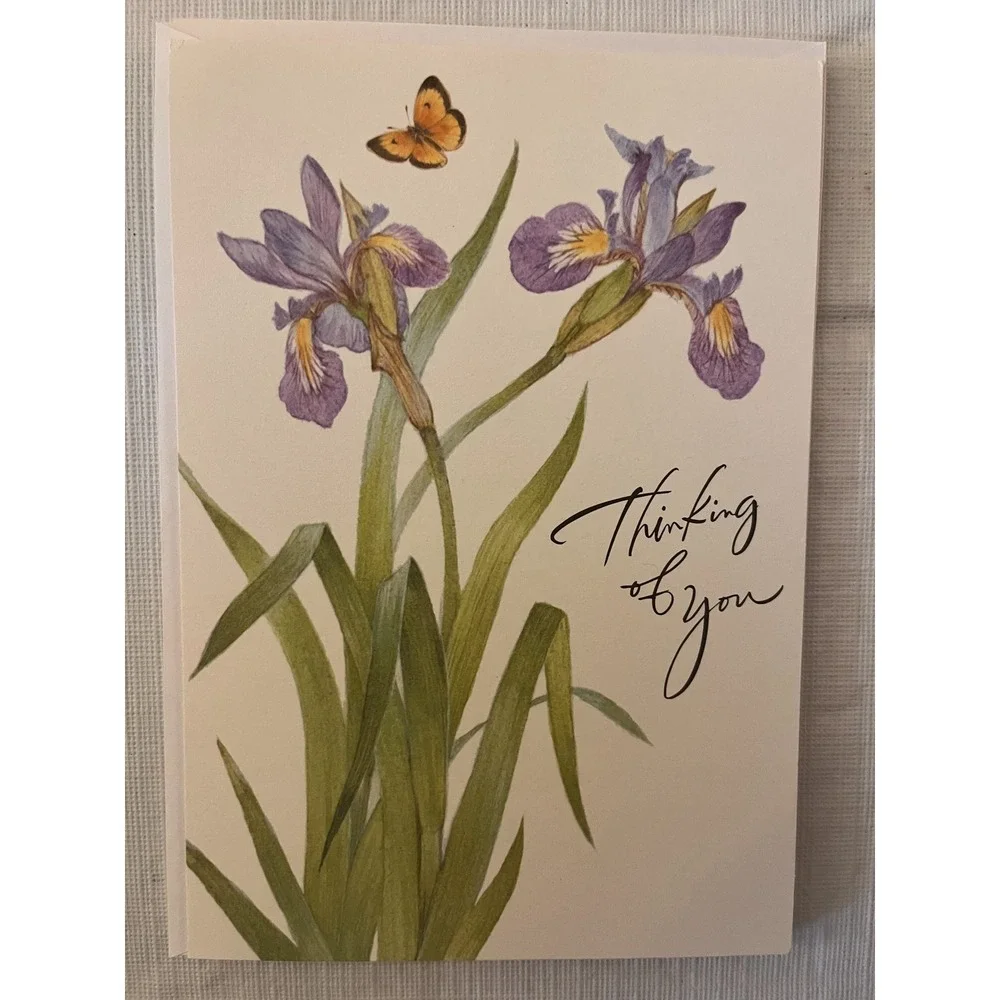 Assorted Greeting Cards Bundle Thinking of You Sympathy Get Well 4 Pack